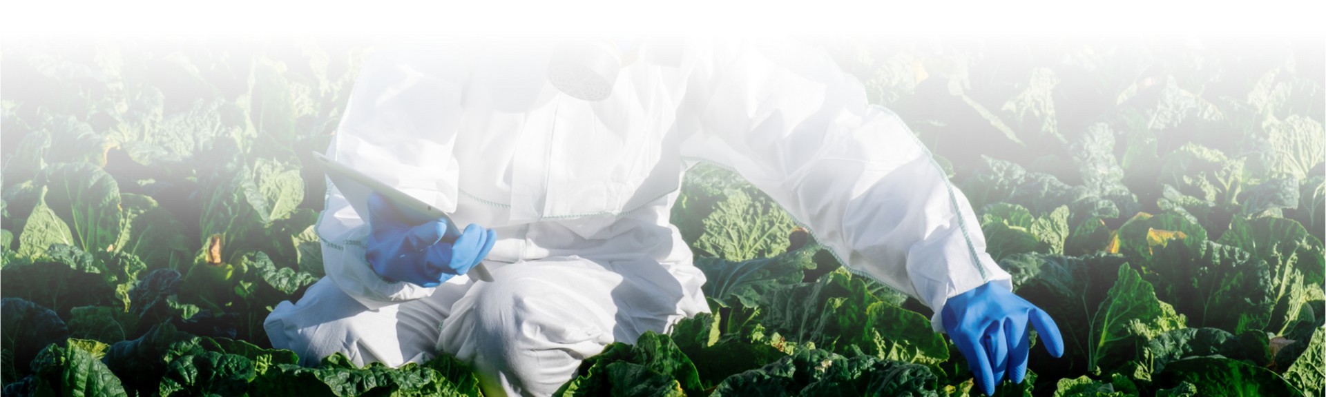 gsm-medioambiental-banner4